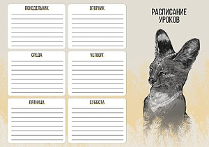 расписание уроков а4 сервал 150003 /alpha-trend