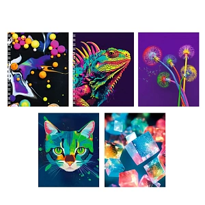 тетрадь 48л клетка на гребне яркое настроение. мко, твин лак, 488825 /эксмо изображение тетрадь 48л клетка на гребне яркое настроение. мко, твин лак, 488825 /эксмо