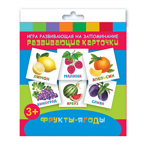 обучающие карточки фрукты-ягоды 110*110мм 12шт. 47691 /фен изображение обучающие карточки фрукты-ягоды 110*110мм 12шт. 47691 /фен