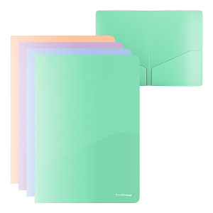 папка-уголок с 2 карманами а4 0.18 matt pastel bloom, 61137 /ek изображение папка-уголок с 2 карманами а4 0.18 matt pastel bloom, 61137 /ek