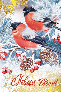 открытка с новым годом! а5, текст 014.336 /мирпоздр