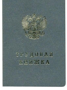 бланк "книжка трудовая"   бт-12н 