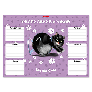 расписание уроков а3 жидкие коты 58299 /ек