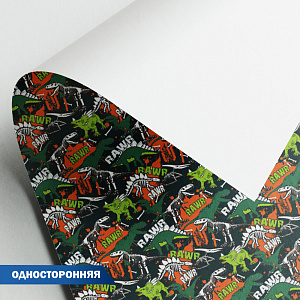 бумага упаковочная 100*70см динозавры 07 90г/м wpo-04 /stilerra изображение бумага упаковочная 100*70см динозавры 07 90г/м wpo-04 /stilerra фото