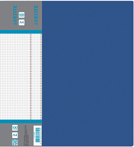 папка 100м/ф  daily 30мкм, 0.8мм, сменная этикетка, синяя 3107402 /devente