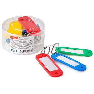 брелок для  ключей инфо-окно 21*60мм  цвет ассорти  рв_00001  /hatber