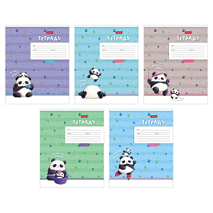 тетрадь 18л  клетка забавные панды,  18т5в1 /hatber
